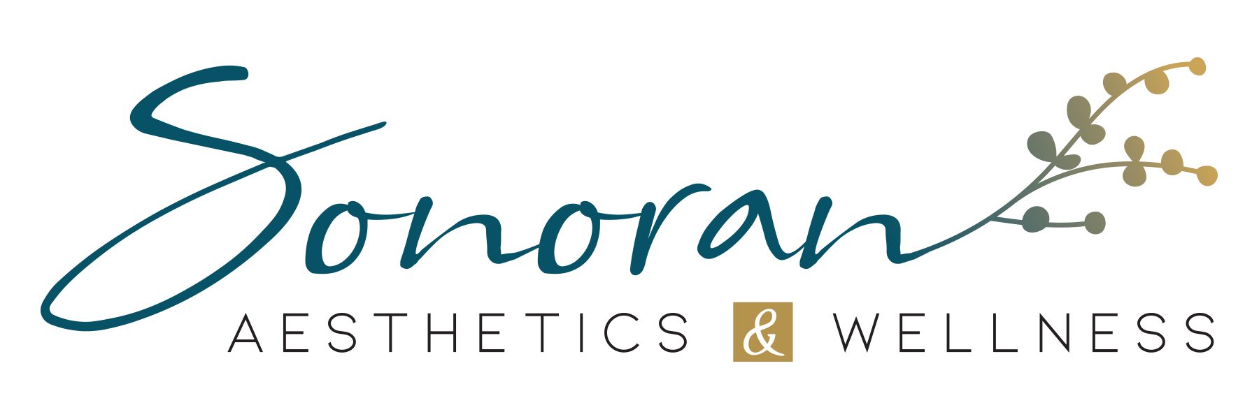 692dce9500c47_SonoranA&W_ Horizontal Logo_Full Color_RGB - Copy